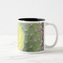 Search for prickly pear mugs Flower