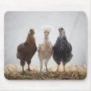 Search for third world mousepads Travel