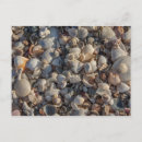 Search for pile Ocean