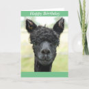 Search for alpaca cards Cute