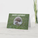Search for hedgehog birthday cards Animal