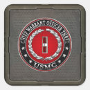 Search for warrant stickers Usmc cwo3 rank insignia