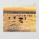 Search for sunset cloud postcards Gold