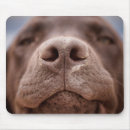 Search for closeup mousepads Nose