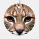 Search for bobcat christmas tree decorations Wild animals