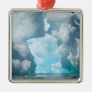 Search for shore christmas tree decorations Coast