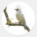 Search for exotic bird stickers Wildlife