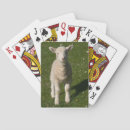 Search for sheep playing cards Lamb