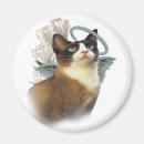 Search for cat breeds magnets Kittens