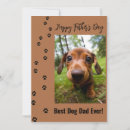 Search for happy fathers day from dog Pet