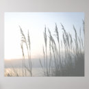 Search for dune posters Seascapes