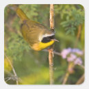 Search for foraging stickers Green