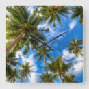 Search for tree wall Tropical beach