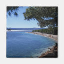 Search for feature magnets Seashore