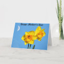 Search for daffodils mothers day cards Flowers