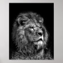 Search for kid lion art Zoo
