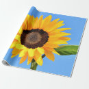 Search for yellow wrapping paper Sky
