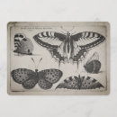 Search for swallowtail invitations Nature