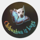 Search for funny bug stickers Cute