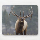 Search for bugle mousepads Wildlife