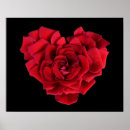 Search for red rose posters Roses