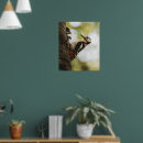 Search for spotted posters Wildlife photography