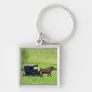 Search for horse and buggy accessories Amish