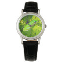 Search for frog watches Amphibian