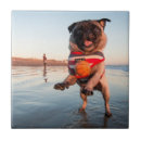 Search for playing tiles Dog