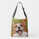 Search for dog picture bags Dogs