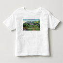 Search for golf girl postcards Exterior