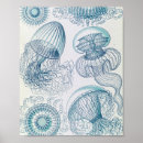 Search for scientific illustration posters Biology