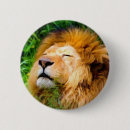 Search for popular badges Modern