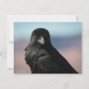 Search for common postcards Bird