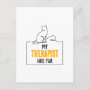 Search for cat lovers postcards Cute cat design