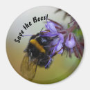 Search for bee lovers magnets Save the bees