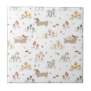 Search for sausage tiles Dog