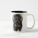 Search for yellowstone bison mugs Wild