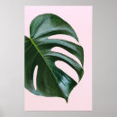 Search for monstera leaf posters Nature