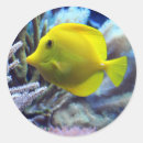 Search for yellow fish stickers Animals