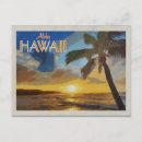 Search for sunset palm postcards Vintage