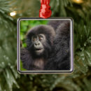 Search for gorilla christmas tree decorations Forest