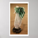 Search for cabbage posters Korean