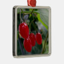 Search for glowing christmas tree decorations Red