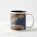 Search for evergreen coffee mugs Tree