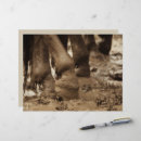 Search for horse scrapbook paper Vintage