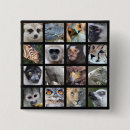 Search for wild reptile badges Wildlife
