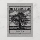 Search for ex postcards Vintage