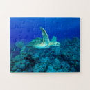 Search for turtle puzzles Sea