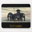 Search for rottweilers electronics Puppies
